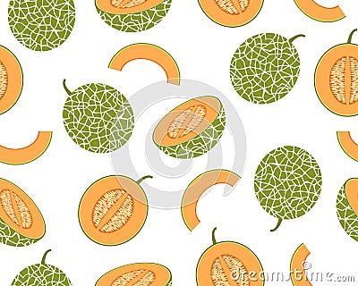 Seamless pattern of fresh cantaloupe melon isolated on white background Cartoon Illustration