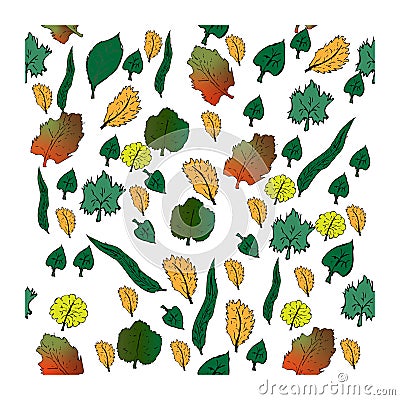 Autumn leaves set Vector Illustration