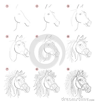 Creation step by step pencil drawing. Page shows how learn to draw sketch of imaginary horses head. Vector Illustration