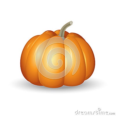 Orange pumpkin - cartoon vector illustration isolated on white background Vector Illustration