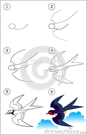 Educational page for kids. How to draw step by step a cute swallow. Back to school. Vector Illustration