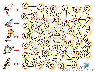 Logic puzzle game for study English with labyrinth. Find the way from each bird and join letters so you can read the words. Vector Illustration