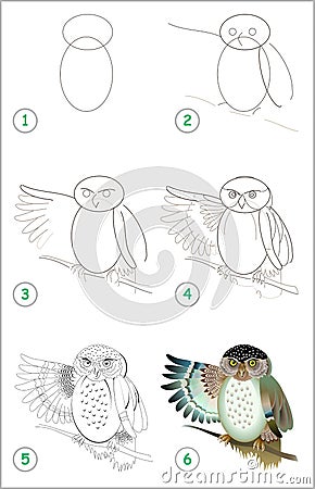 Educational page for kids. How to draw step by step a cute owl. Back to school. Vector Illustration