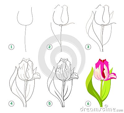 Page shows how to learn step by step to draw beautiful flower tulip. Developing children skills for drawing and coloring. Vector Illustration