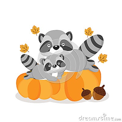 Cute raccoons on pumkins in autumn. Stock Photo