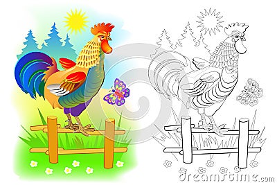 Illustration of cute rooster at sunrise. Colorful and black and white page for coloring book for kids. Domestic farm animal cock. Vector Illustration
