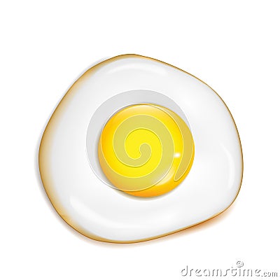 Vector realistic fried egg. Fresh food Vector Illustration