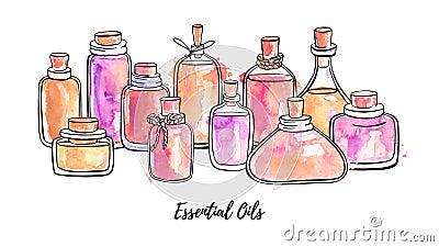 Vector watercolor illustration Essential oils. Beautiful hand drawn glass bottles in horizontal composition. Vector Illustration