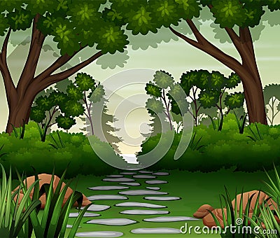 Stone road in the forest background Vector Illustration
