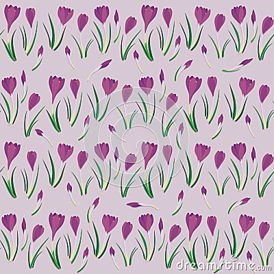 First crocuses in horizontal rows spring fresh floral botanical seasonal seamless pattern Vector Illustration