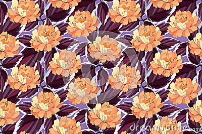 Orange garden flowers, maroon, burgundy, purple leaves. Stock Photo