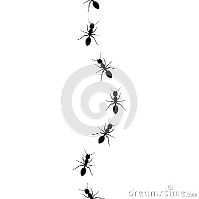 Ants walking in a line pattern. Vector Illustration