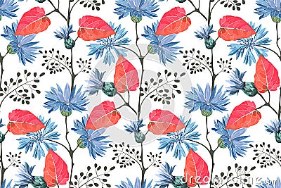 Art floral vector seamless pattern. Blue flowering cornflower, Vector Illustration