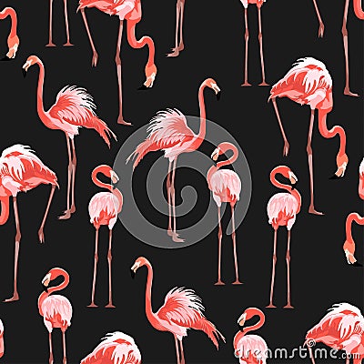 Pink flamingo, black background. Floral seamless pattern. Tropical illustration. Vector Illustration