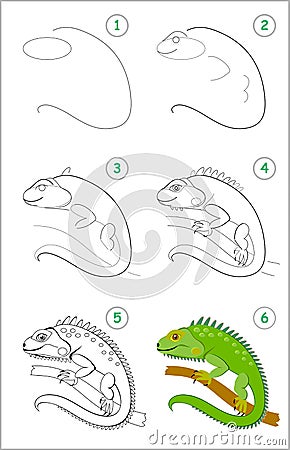 How to draw step by step cute green iguana. Educational page for kids. Back to school. Vector Illustration