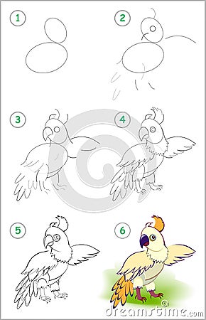 How to draw step by step cute little parrot. Educational page for kids. Back to school. Vector Illustration