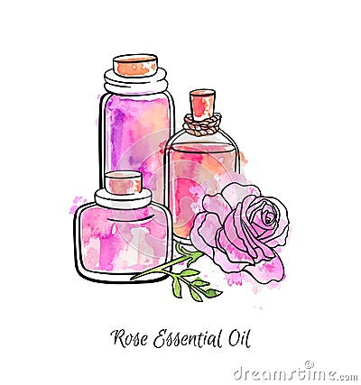 Hand drawn vector illustration of glass jars and bottles with Rose essential oil. Vector Illustration