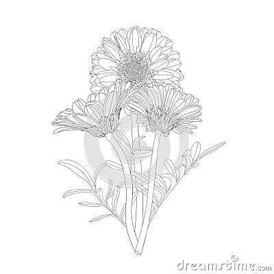 Bouquet with sunflowers gerbera in line art style. For wedding, birthday, anniversary. Stock Photo