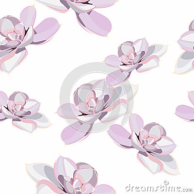 Spring flower seamless pattern with violet succulents. Elegant tender design for natural cosmetics, perfume, florist shop. Stock Photo