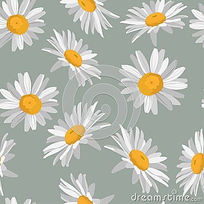 Chamomile Daisy Wildflower Background. Seamless Pattern on grey. Hand Drawn Textile. Spring and Summer Meadow. Stock Photo