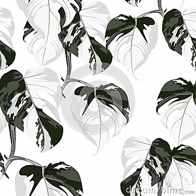 Topical palm leaves over white, seamless pattern. Beautiful allover print with hand drawn exotic plants. Stock Photo