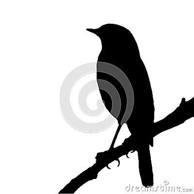 The silhouette vector illustration of passerine bird sitting on stick in white background Vector Illustration