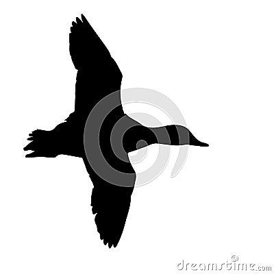 The vector illustration silhouette of flying duck bird in white background Vector Illustration