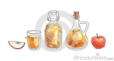 Set of watercolor illustrations Apple Cider Vinegar Vector Illustration