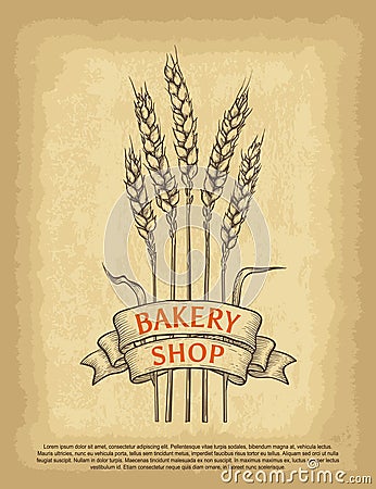 Hand drawn wheat ears. Bakery shop logo. Ribbon banner and lettering. Old craft paper texture background. Vector Illustration
