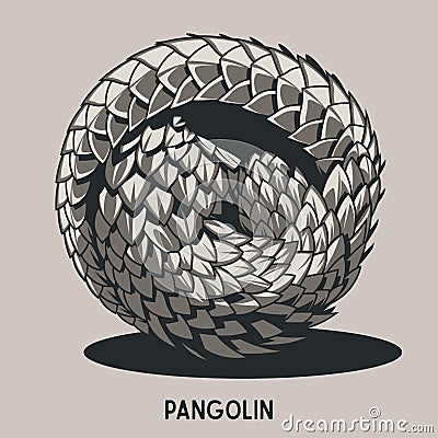 Defending Pangolin, Cingulata Vector Drawing Vector Illustration