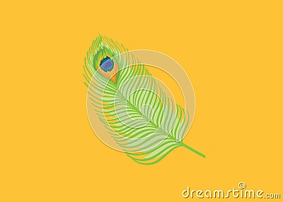 Feather peacock green vector design Vector Illustration