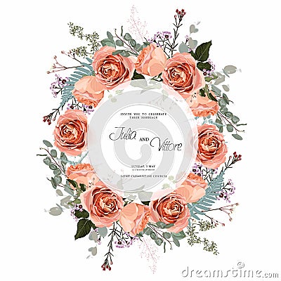 Wedding Invitation, floral invite thank you, rsvp modern card Design with creamy roses flowers and herbs decorative. Vector Illustration