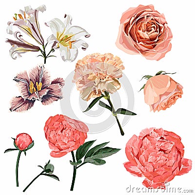 Floral set. flower. Wedding concept with creamy roses, peony, tulip, lilies and carnation flowers. Floral poster, invite. Vector Illustration