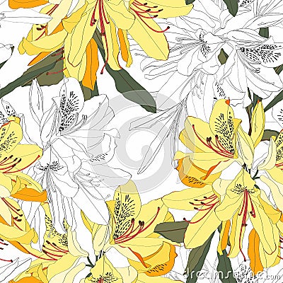 Seamless pattern with Oleander flower. Floral composition. Yellow Rhododendron flowers and black line. Vector Illustration