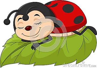 Cartoon ladybug sleeping on leaf Vector Illustration