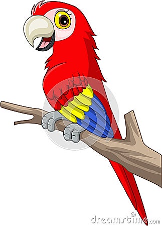 Cartoon funny macaw on tree branch Vector Illustration