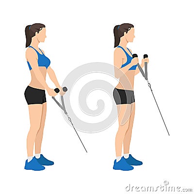 Woman doing Cable hammer bicep curls exercise Vector Illustration