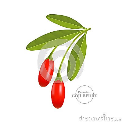 Realistic fresh goji berry vector illustration. Vector Illustration