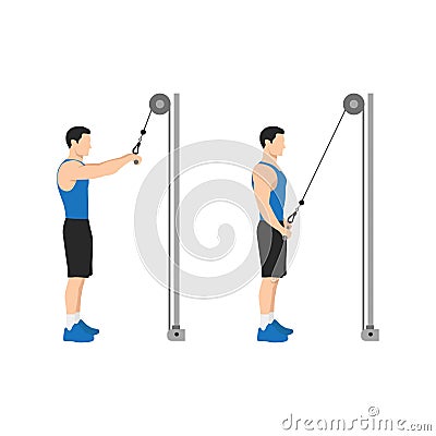 Man doing Straight arm pulldowns. pull downs pullovers. Vector Illustration