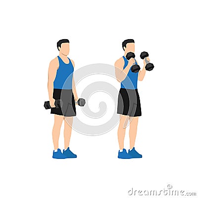 Man doing standing dumbbell bicep hammer curls. Vector Illustration