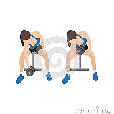 Woman doing Seated Dumbbell concentration curls exercise Vector Illustration