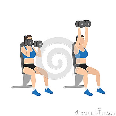 Woman doing Seated Shoulder hammer. Overhead presses Vector Illustration