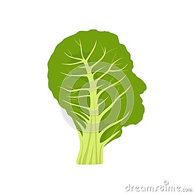 Flat vector of Collard Greens isolated on white Cartoon Illustration