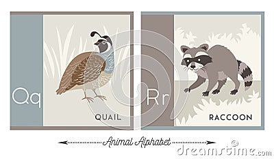 Illustrated alphabet stickers with animals for kids. Letter Q for quail and letter R for raccoon. Vector Illustration