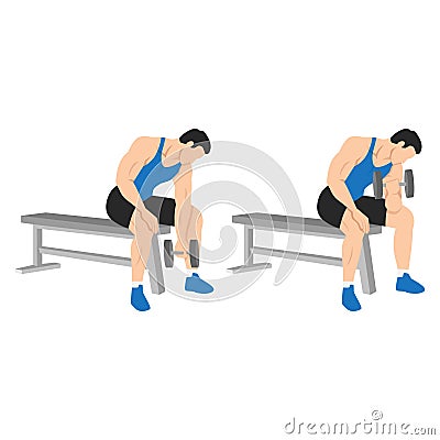 Man doing Dumbbell concentration curl. Flat vector illustration Cartoon Illustration