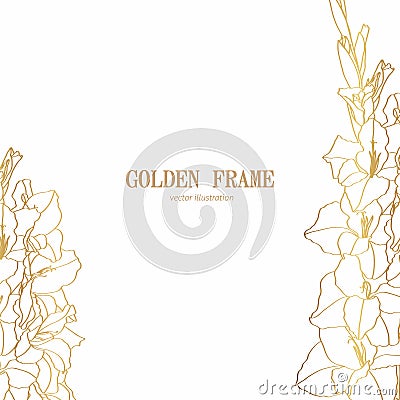 Golden gladiolus flowers Background Illustration. Line flowers frame. Stock Photo