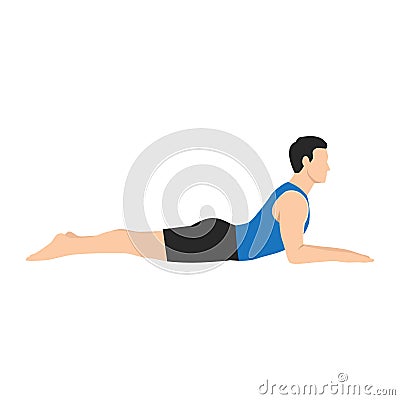 Man doing salamba bhujangasana sphinx pose exercise. Flat vector Vector Illustration