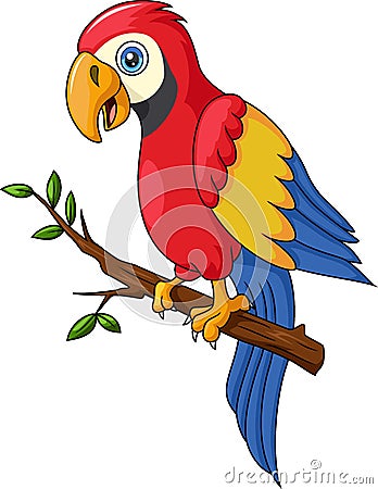 Cute macaw cartoon on tree branch Vector Illustration
