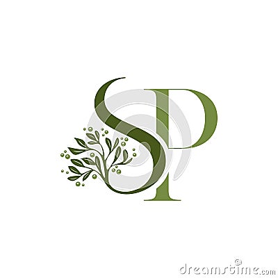Letter SP Luxury With Olive Oil Tree Vector Illustration