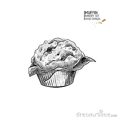 Bakery set. Hand drawn isolated muffin or cupcake. Breakfast traditional sweet bakery. Vector engraved icon. For Vector Illustration